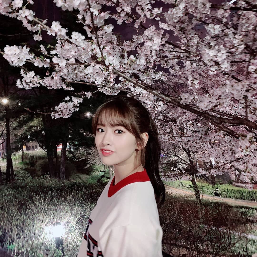 민무늬 tweet media