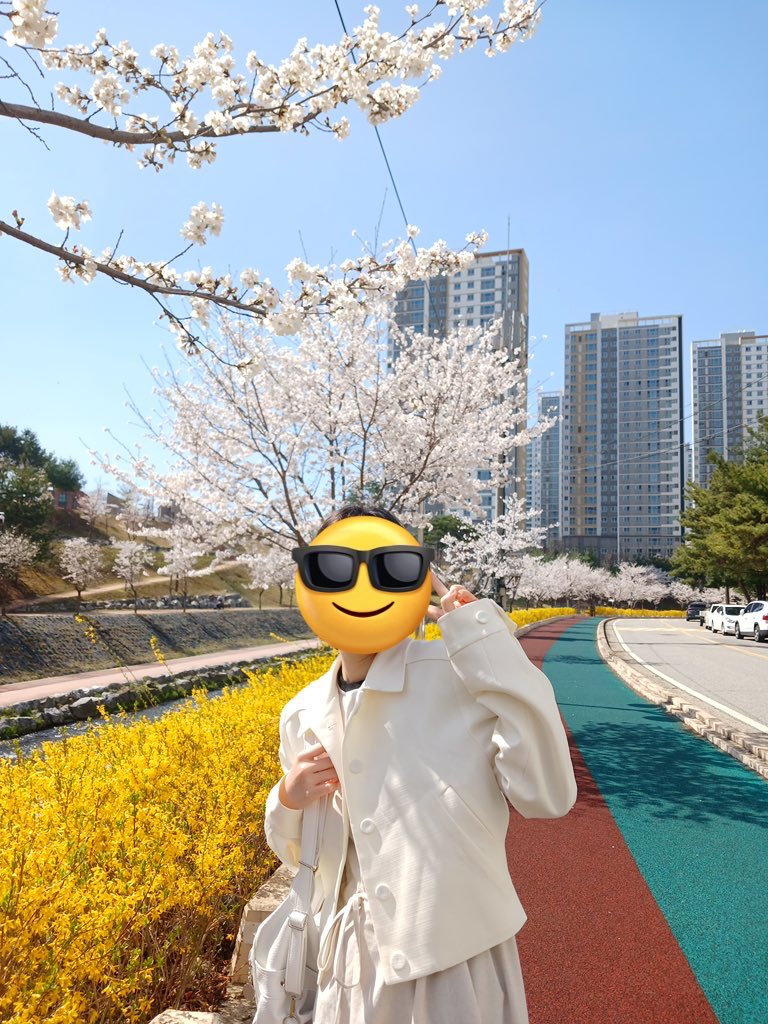 마이도~ tweet media