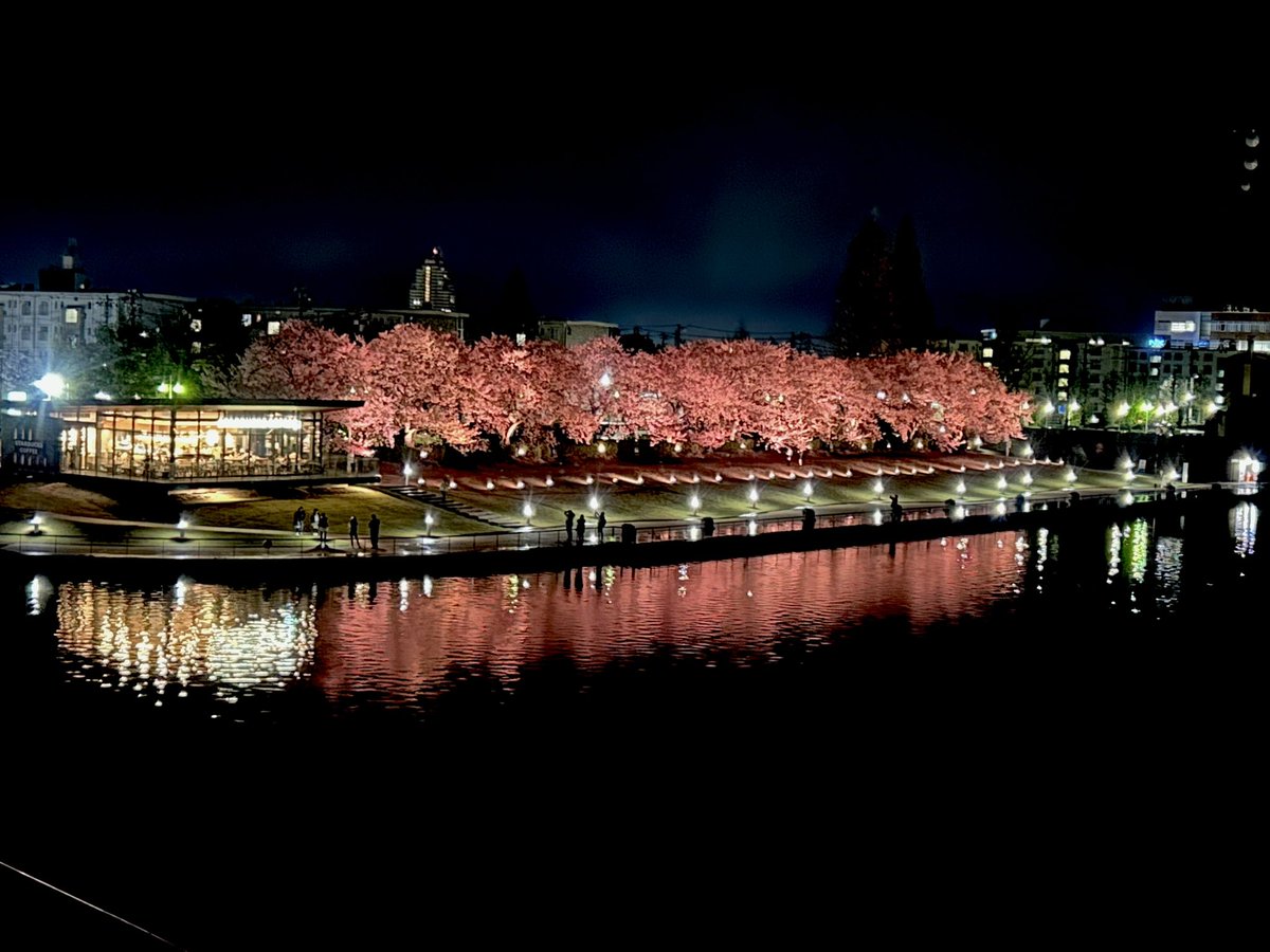 ねこらー tweet media