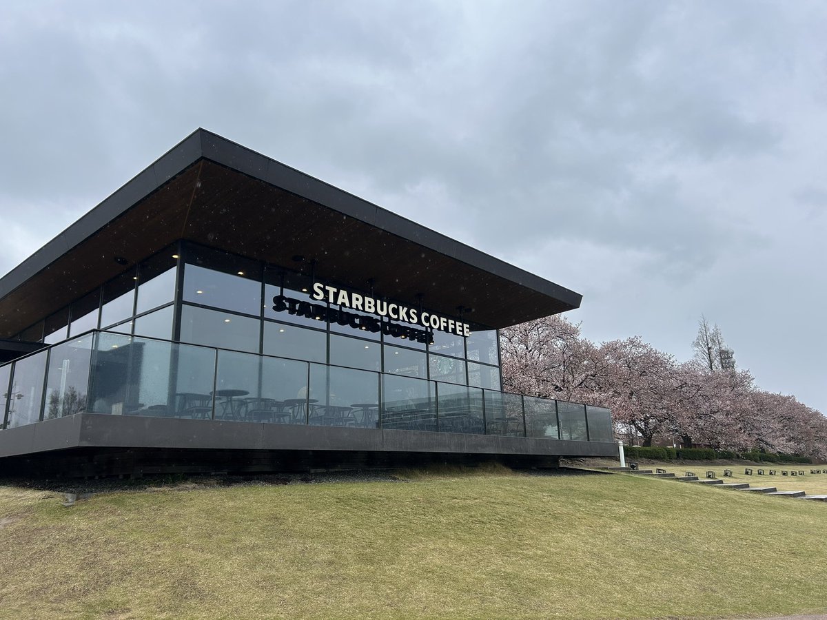 ねこらー tweet media