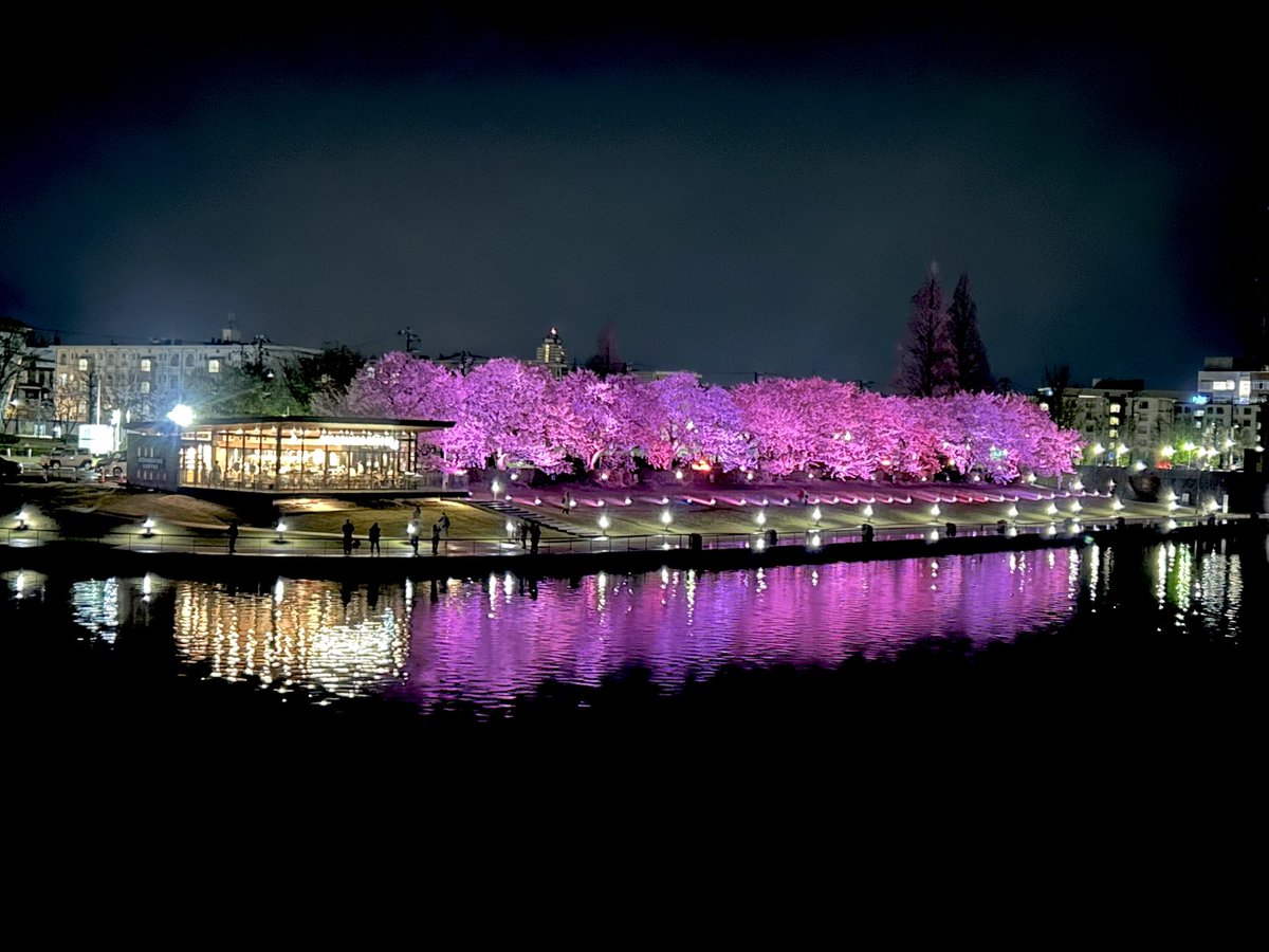 ねこらー tweet media