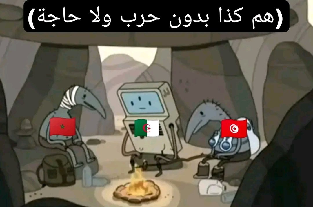 𝗭𝗮𝗵𝗿𝗶 𓃵 tweet media