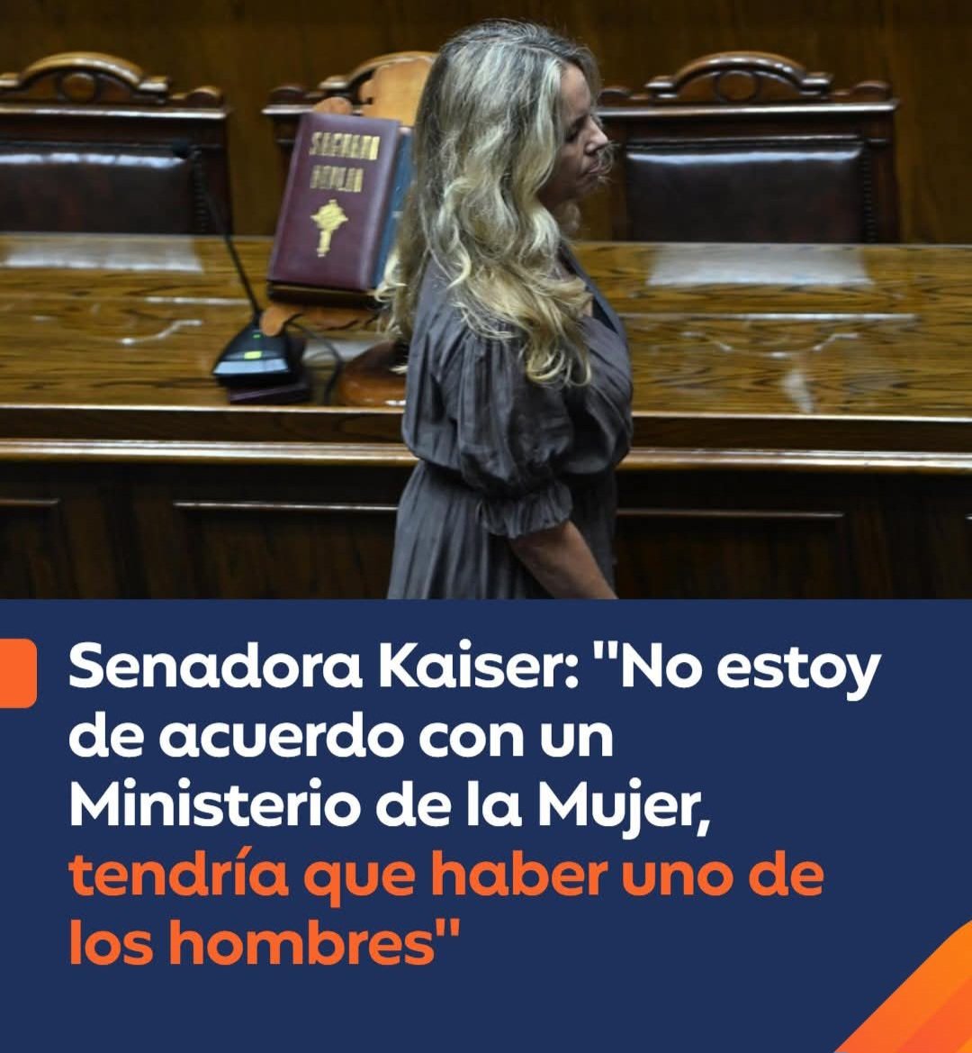 Rep. Federal Chile tweet media