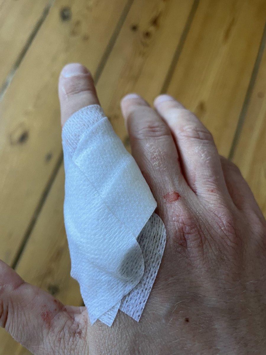 Mars Dorian - open for comms. tweet media