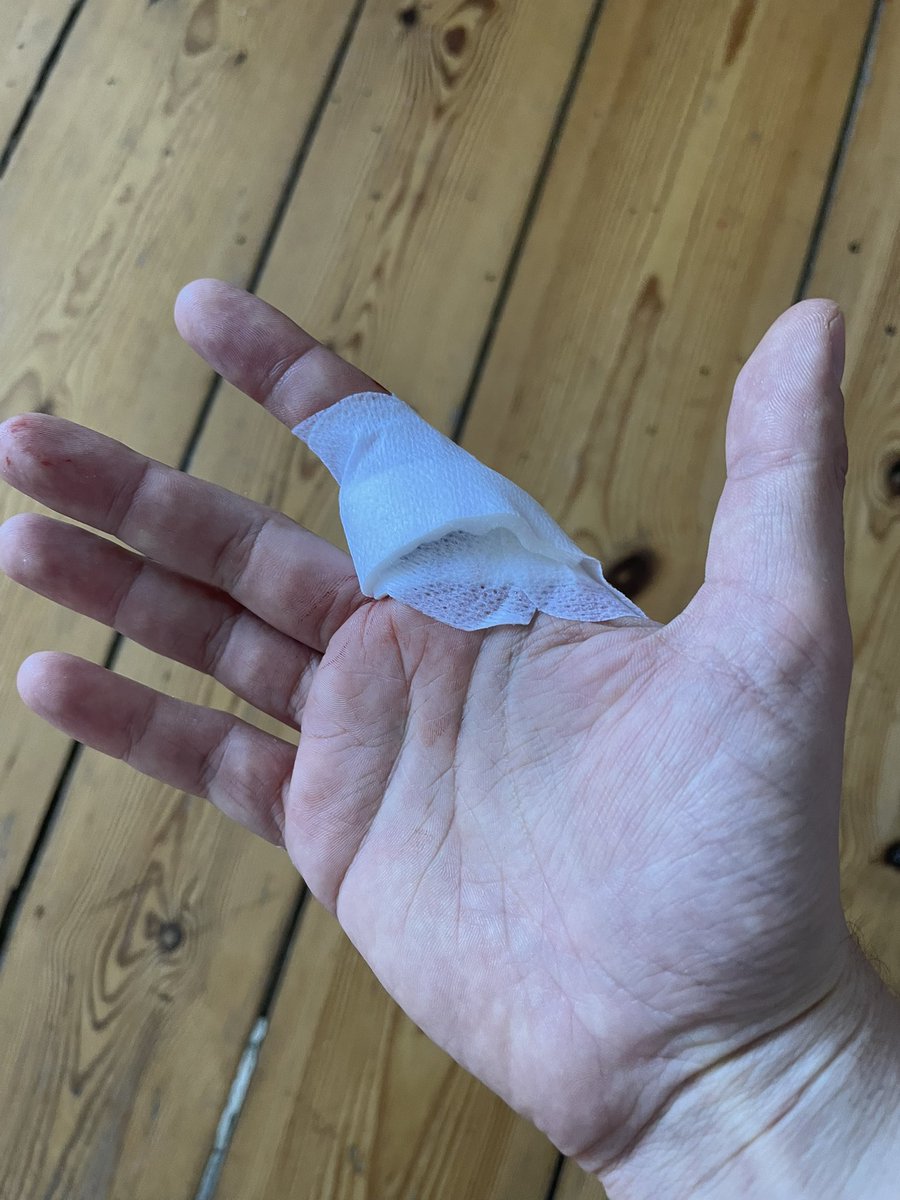 Mars Dorian - open for comms. tweet media