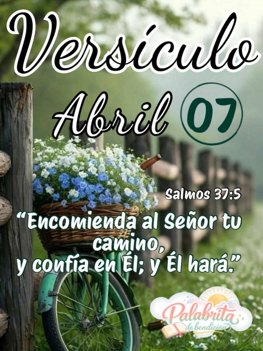 Blasko-Lavayen🇮🇱🇪🇨 tweet media