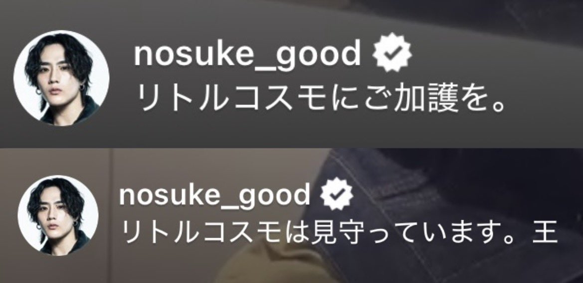 リトルコスモたち尊い(？)