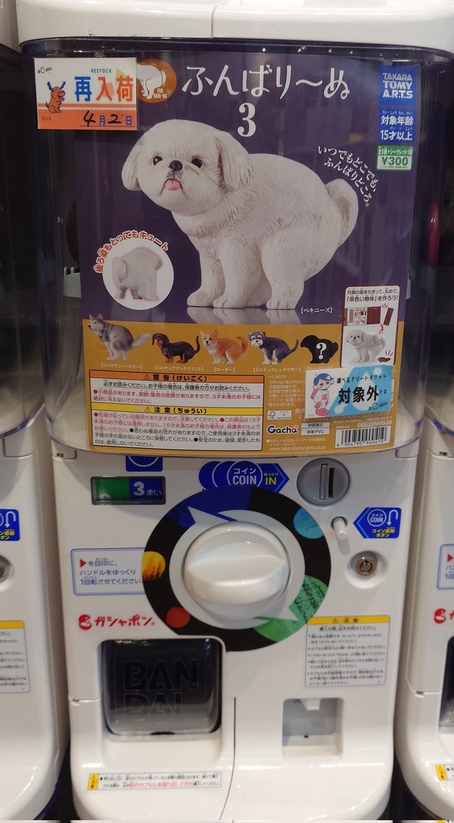 しらす tweet media