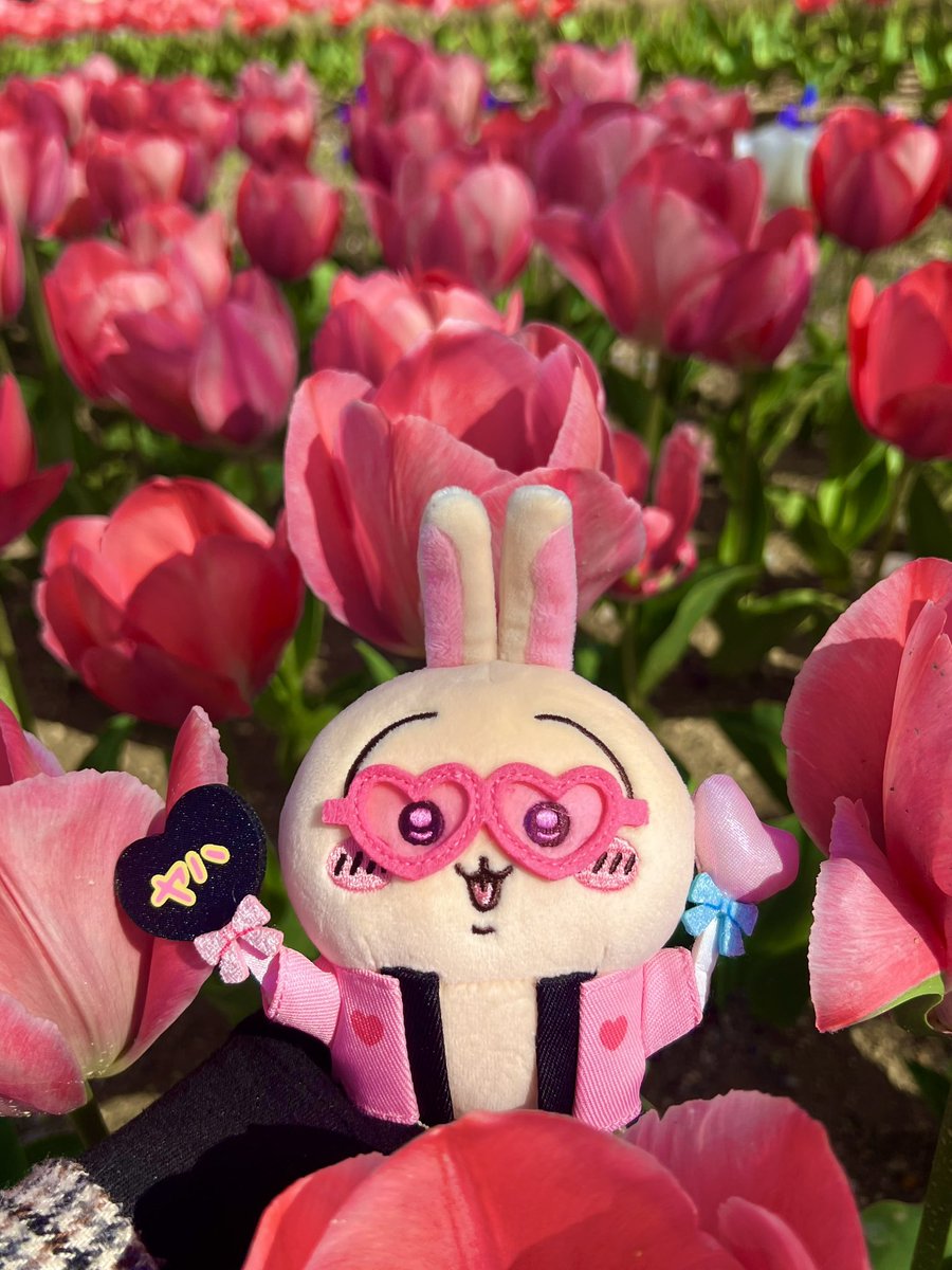 ちいもも❤︎ tweet media