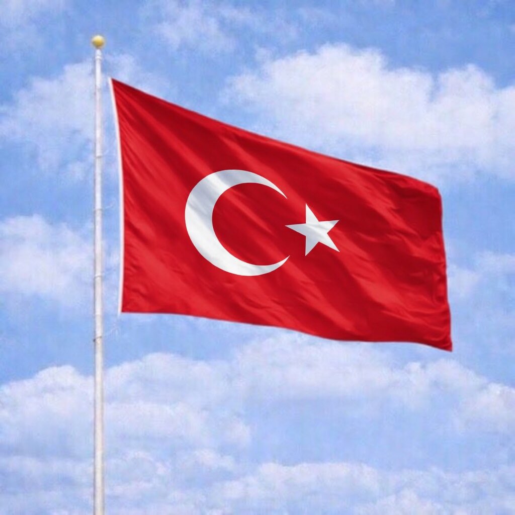 Zard si Gana tweet media