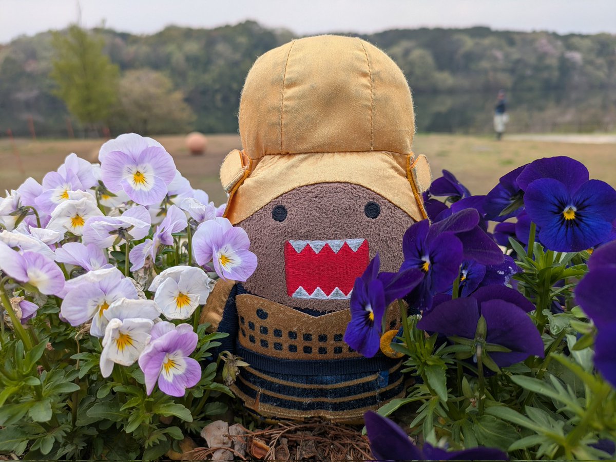 せんぼし　かずこ tweet media