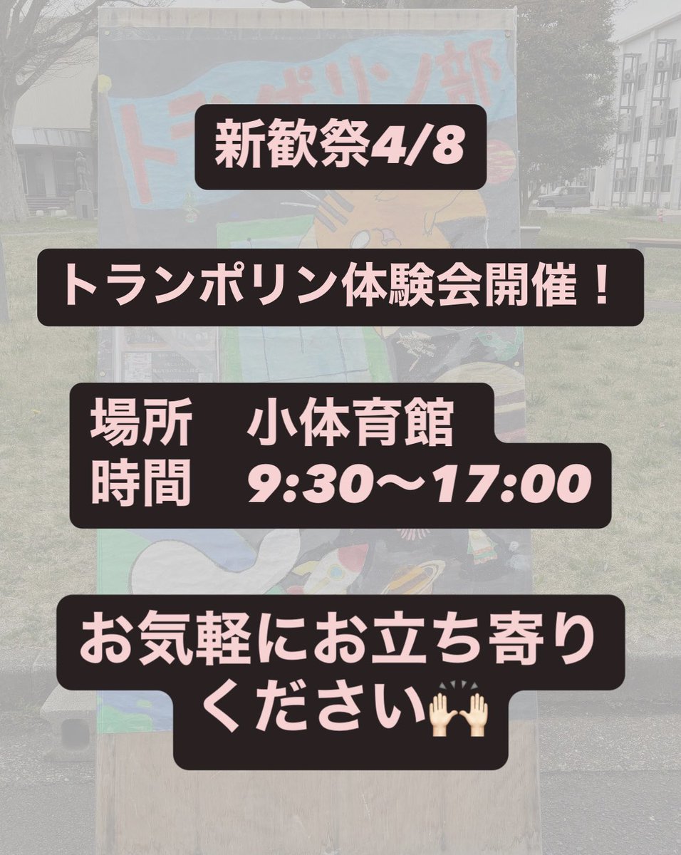 trampoline_ibrk's tweet photo. 明日は新歓祭です！
競技用トランポリン跳べます🤸
ぜひお立ち寄りください🌟

#春から茨大　#茨城大学 
#トランポリン https://t.co/Fu7tcFpnqc