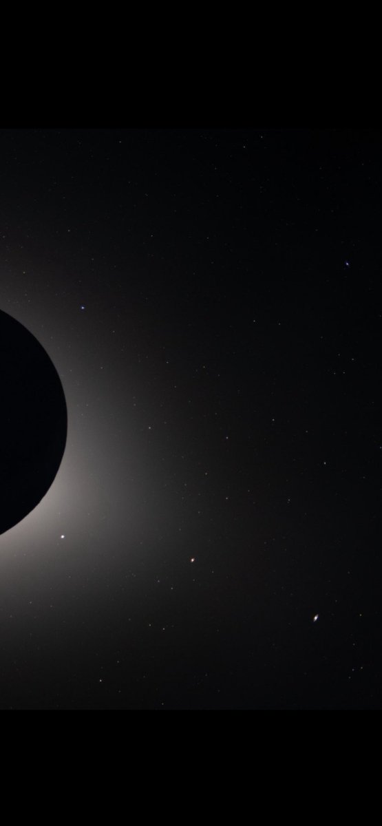 Joel Ward tweet media