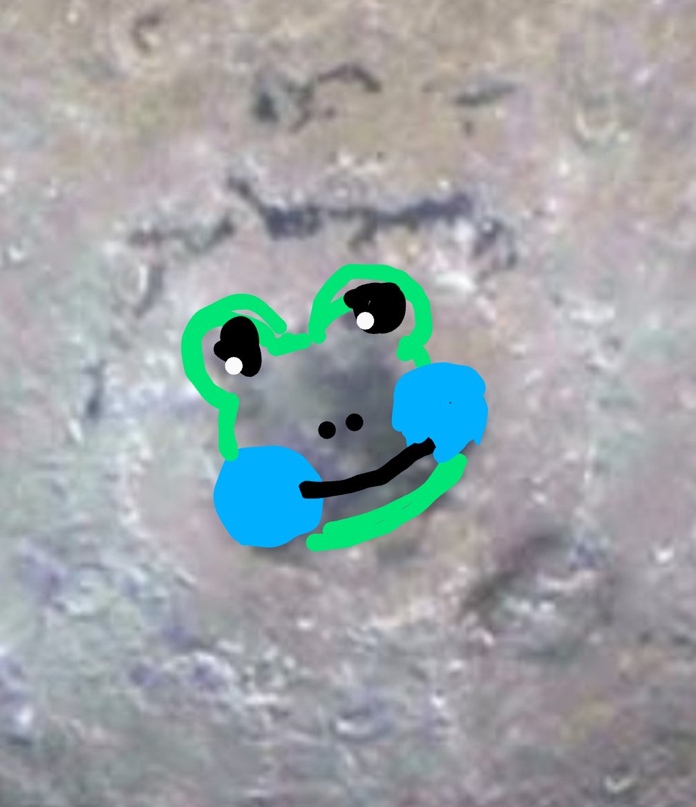 Shaded_cloud_'s tweet photo. @forallcurious Frog https://t.co/qWyb1jCb5h