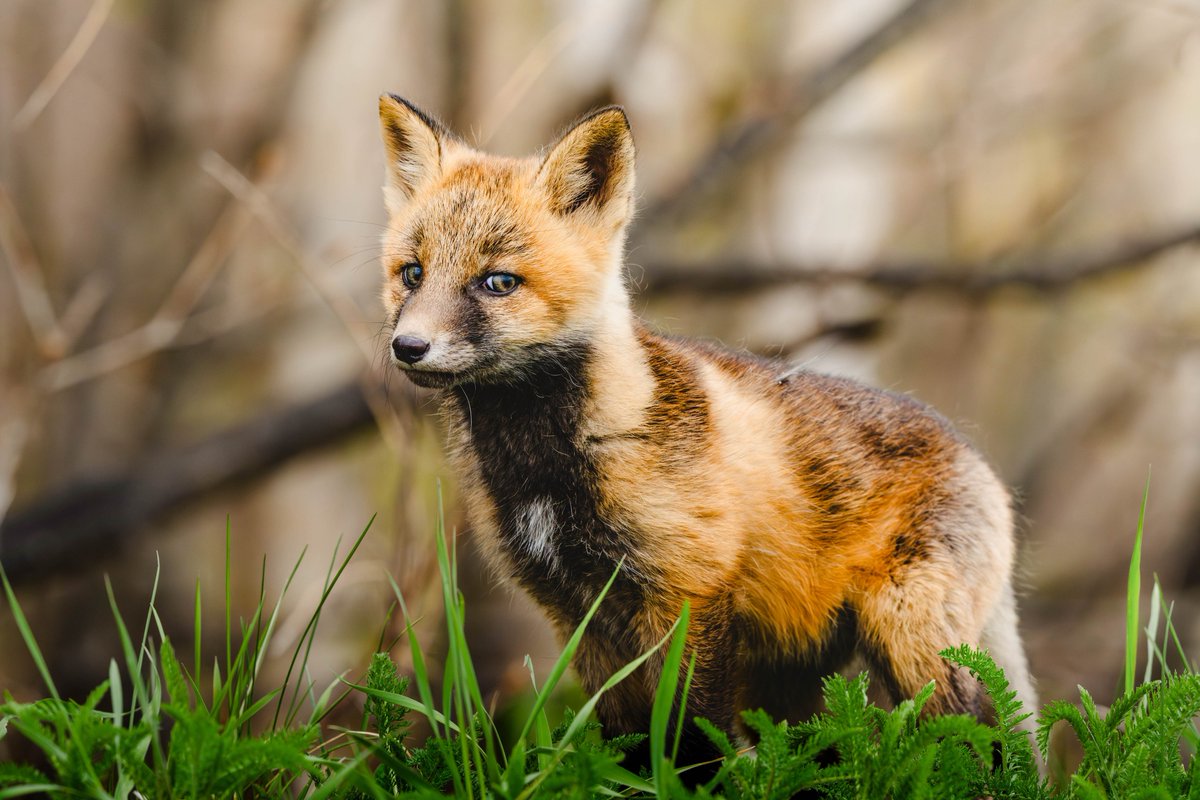 Hiroki INOUE | 写真家 井上浩輝 tweet media