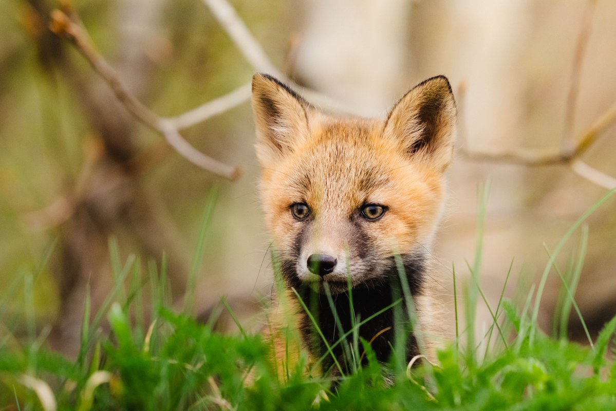 Hiroki INOUE | 写真家 井上浩輝 tweet media