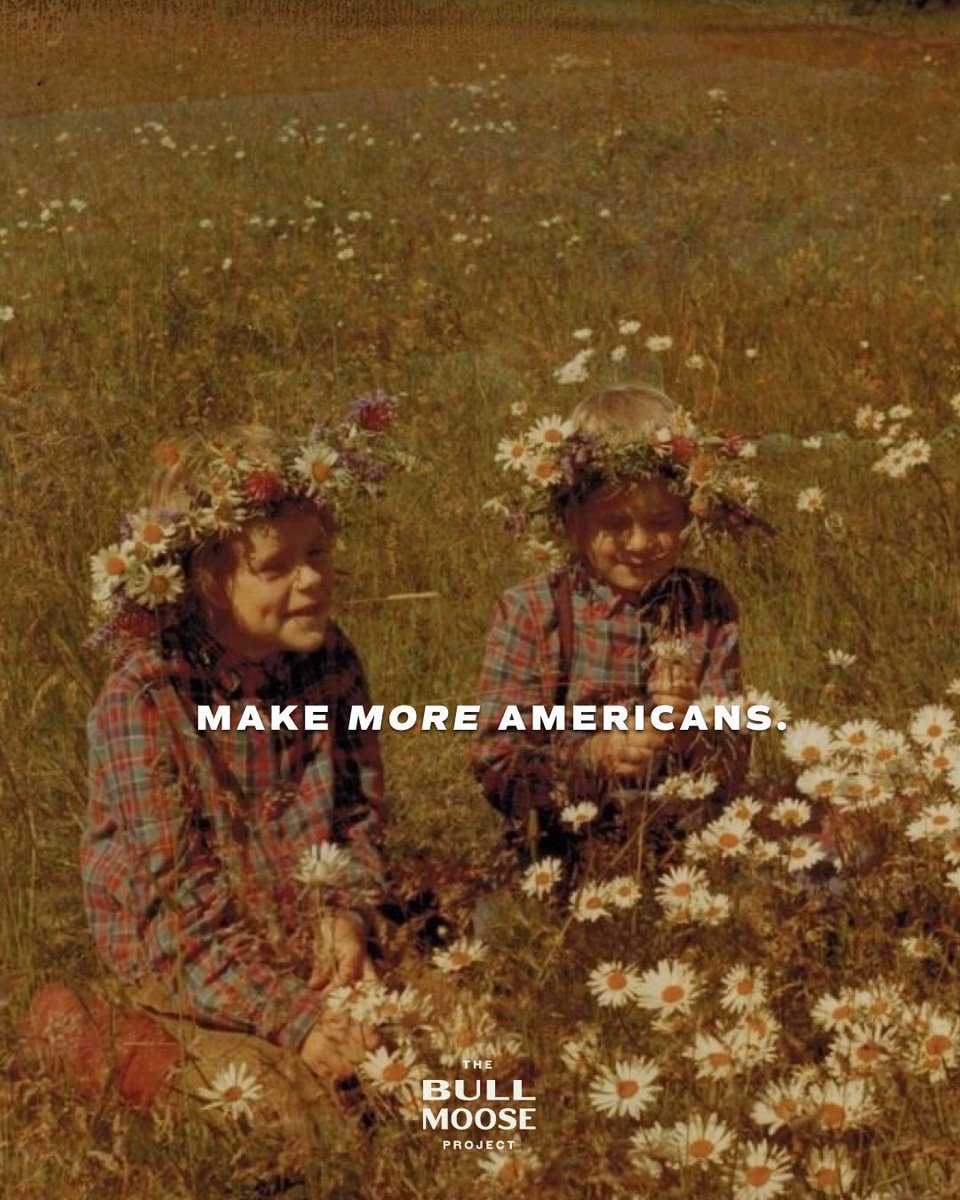 The Bull Moose Project tweet media