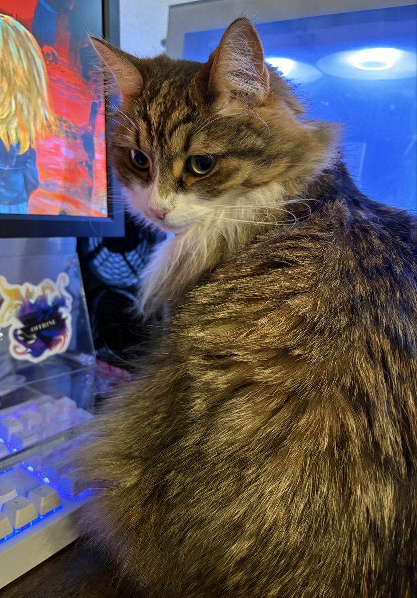 しえるん@DBD霧の森12丁目6番地 tweet media