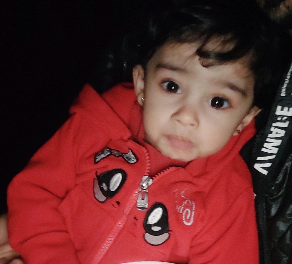 Eileen's Family 🍉🇵🇸 tweet media