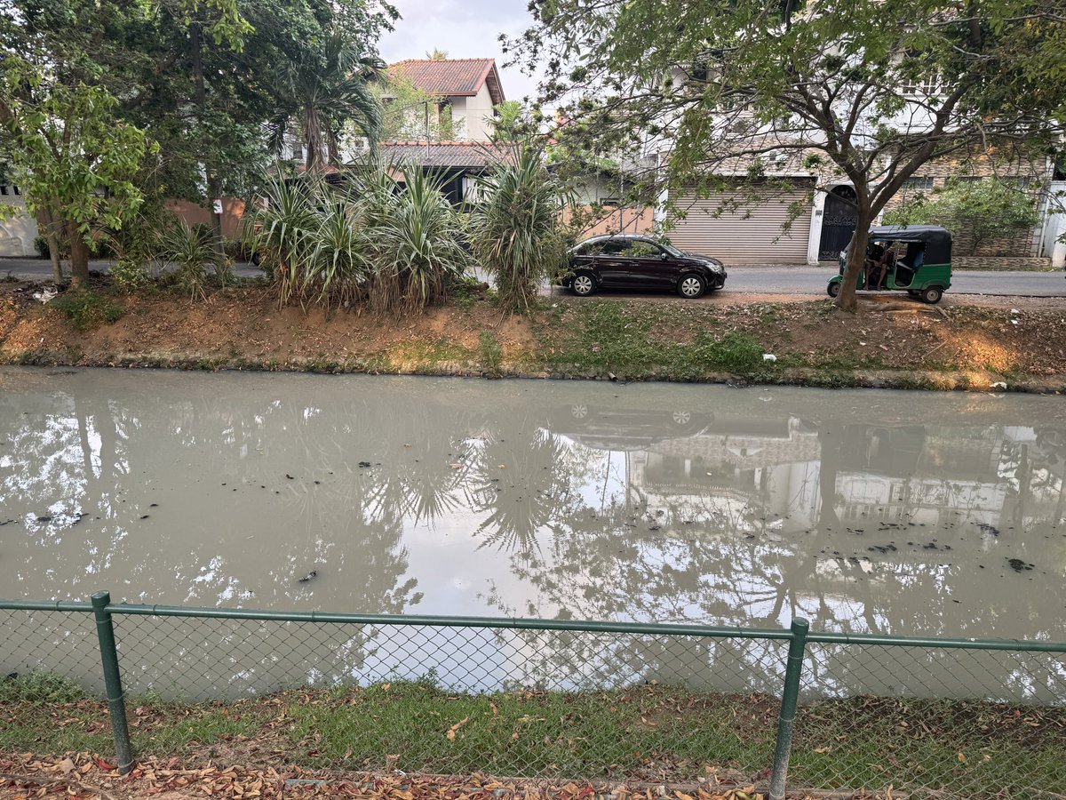 Dr.Amila Fernando🪬 tweet media