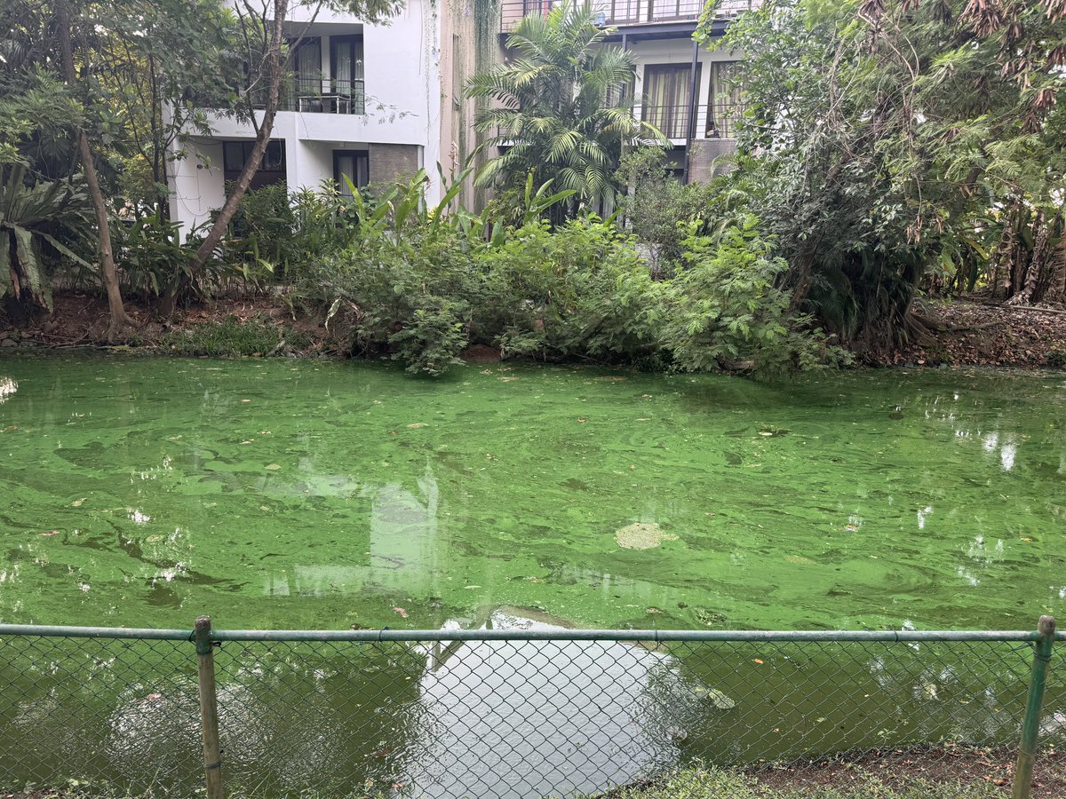 Dr.Amila Fernando🪬 tweet media