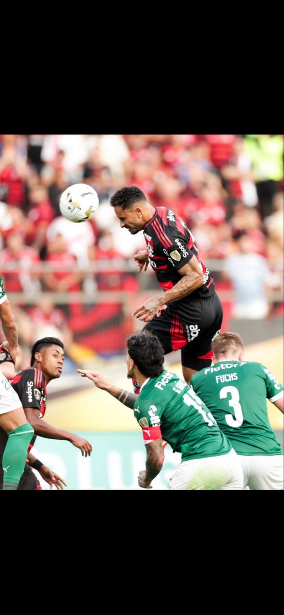 Doctor Fla tweet media