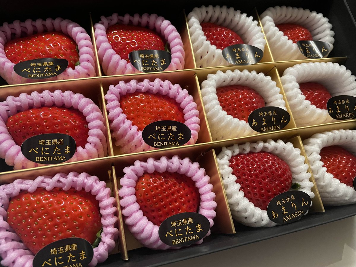 桜巳マオ🌸🐍 tweet media