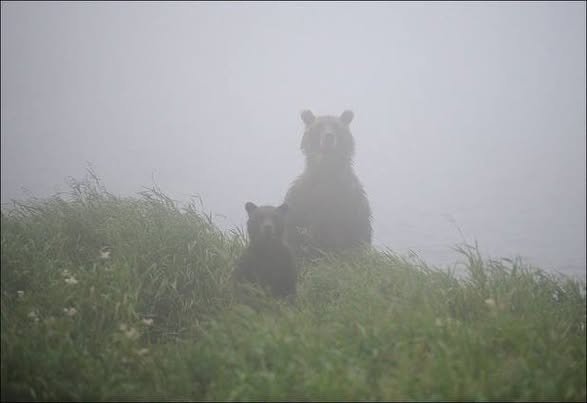 They are watching, waiting