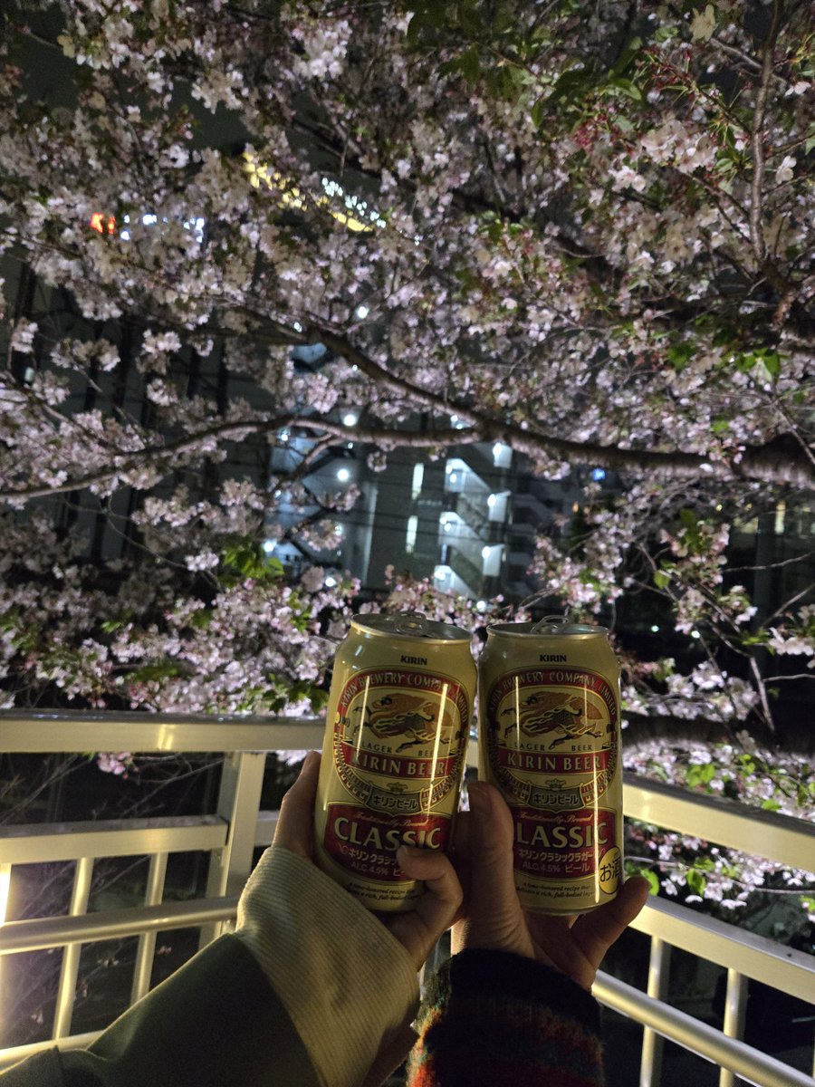 こいと tweet media