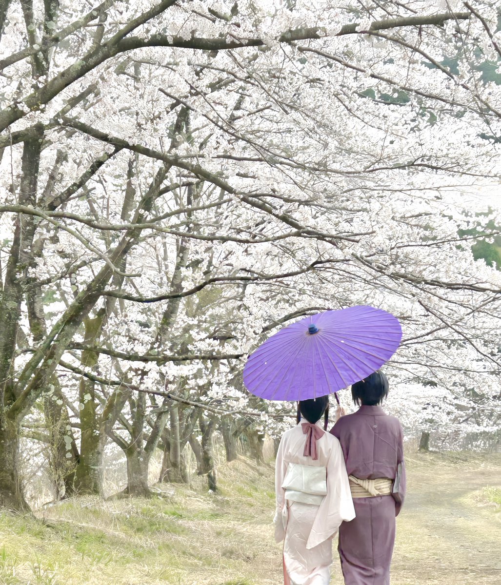 iori@5/5西2ﾇ13b🌸 tweet media