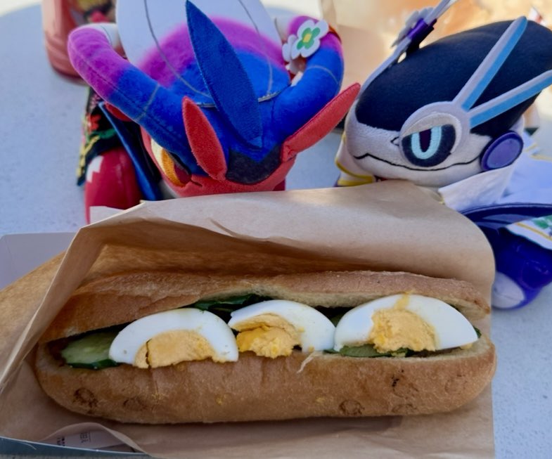 🍇Shibaura🍊 tweet media