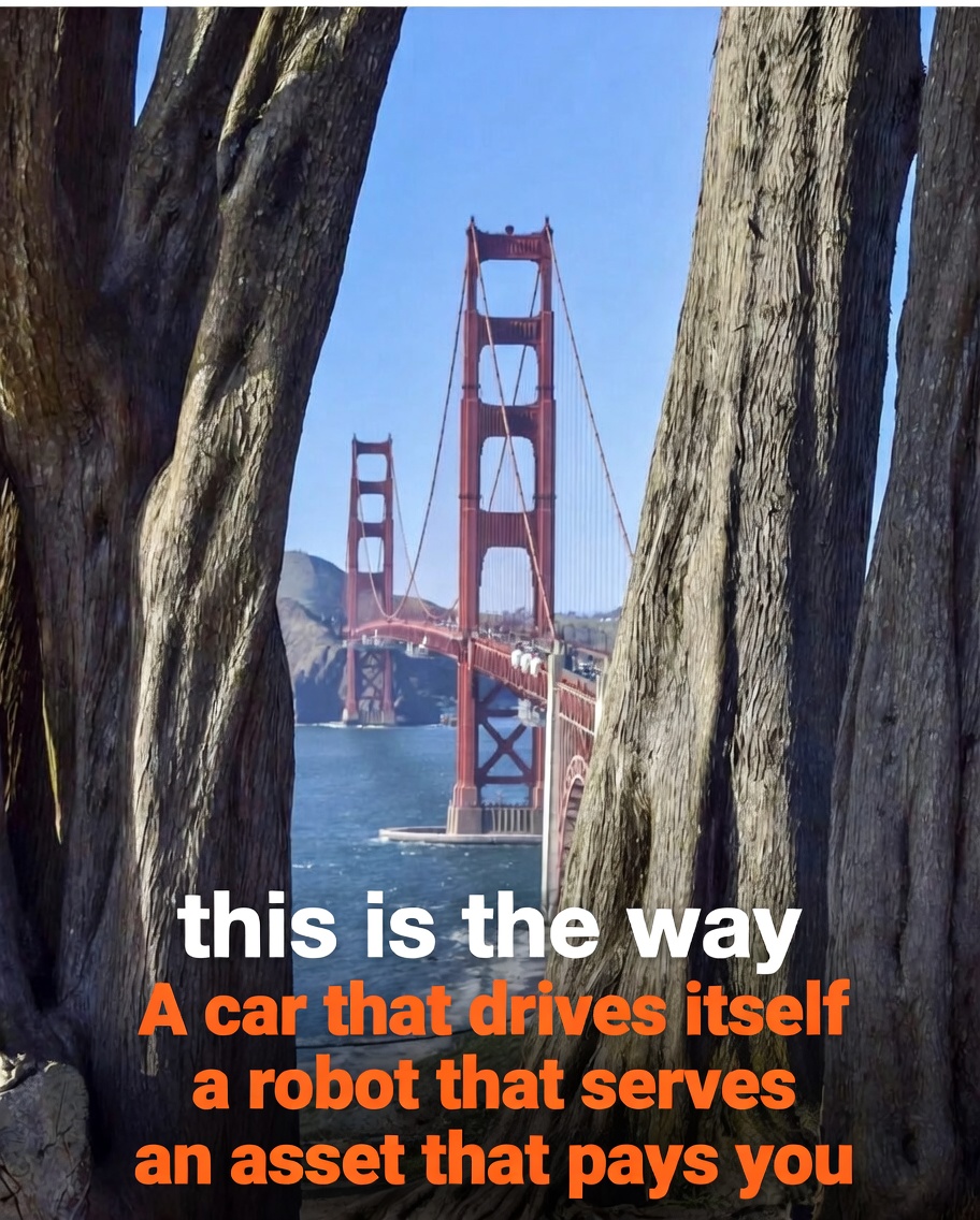 Stoned Raven tweet media