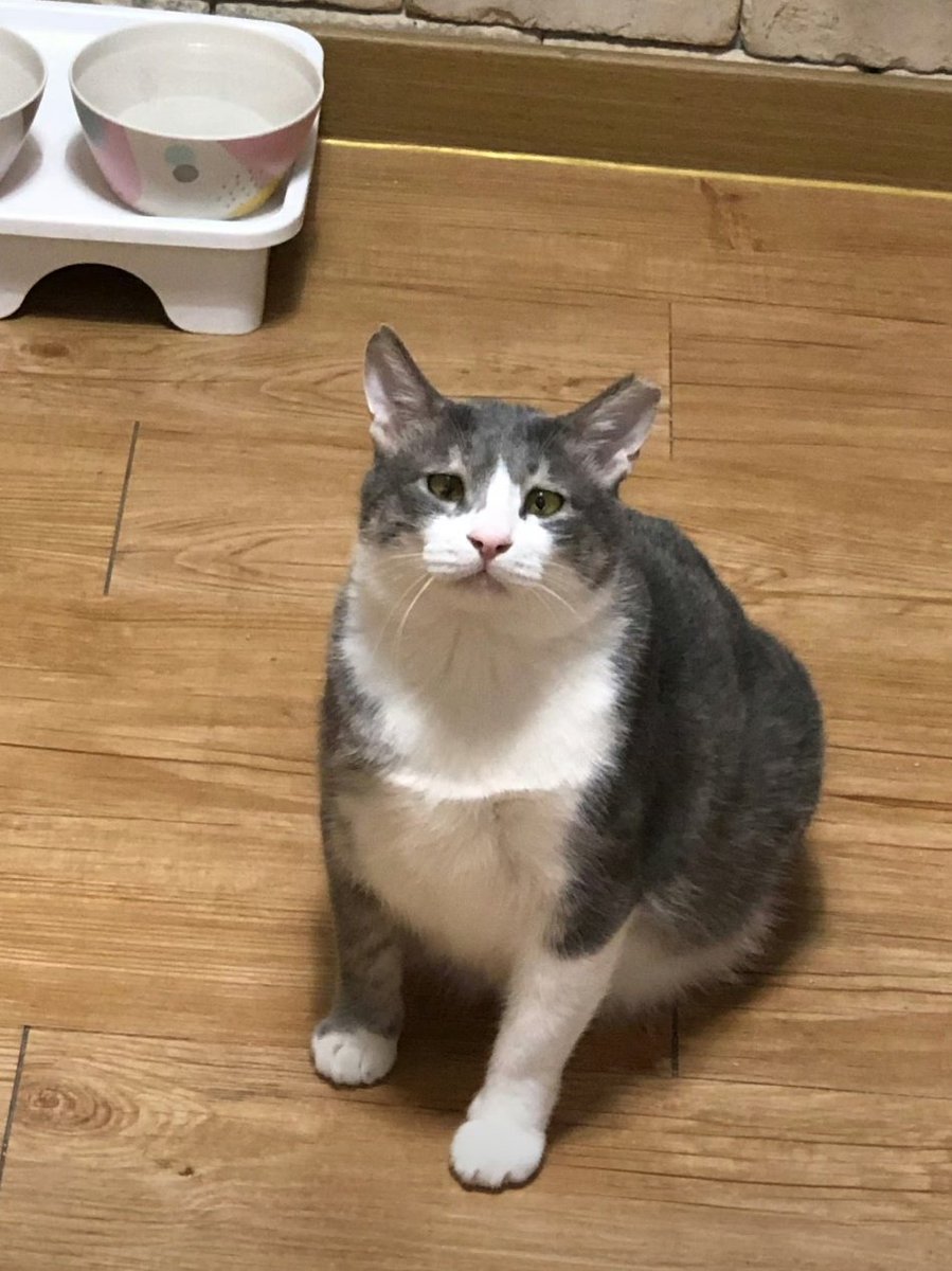 my dearest 👼🏻 tweet media