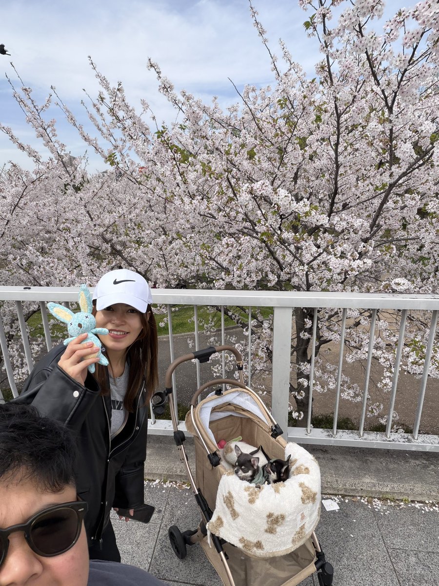 nikudango36's tweet photo. 家族花見🌸 https://t.co/TBCfdmLxEx