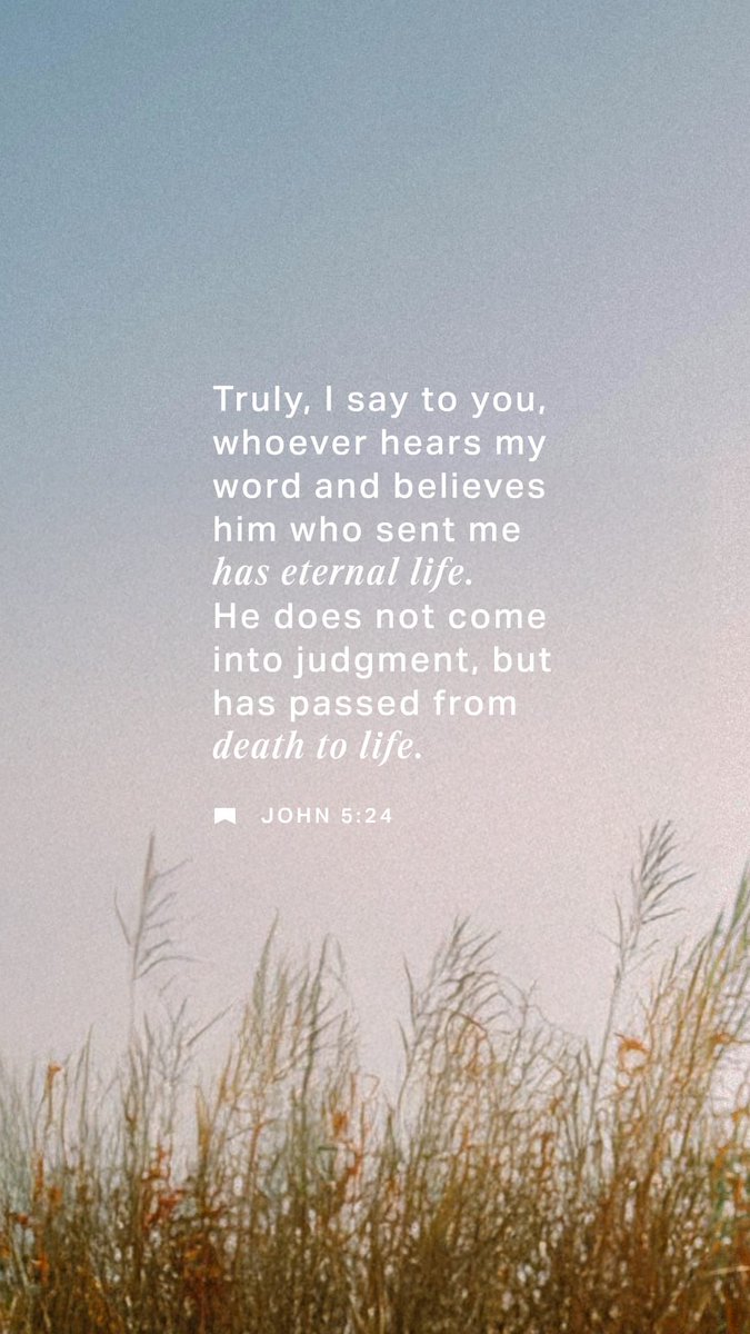 Collin Wallace tweet media