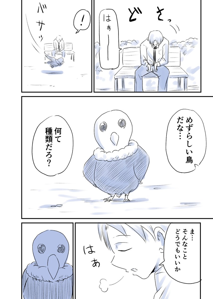 1/3 あれ…珍しい鳥…? 