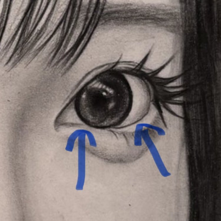 牛タン tweet media