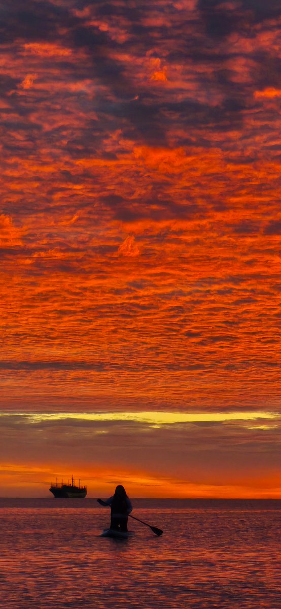 Jaime Oyarzun S. tweet media