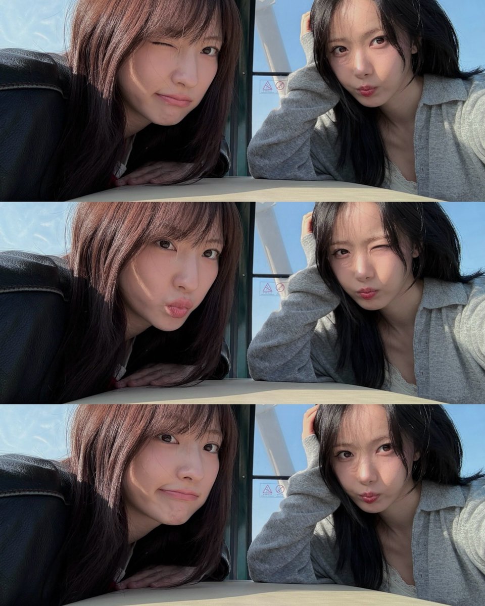 황사 tweet media