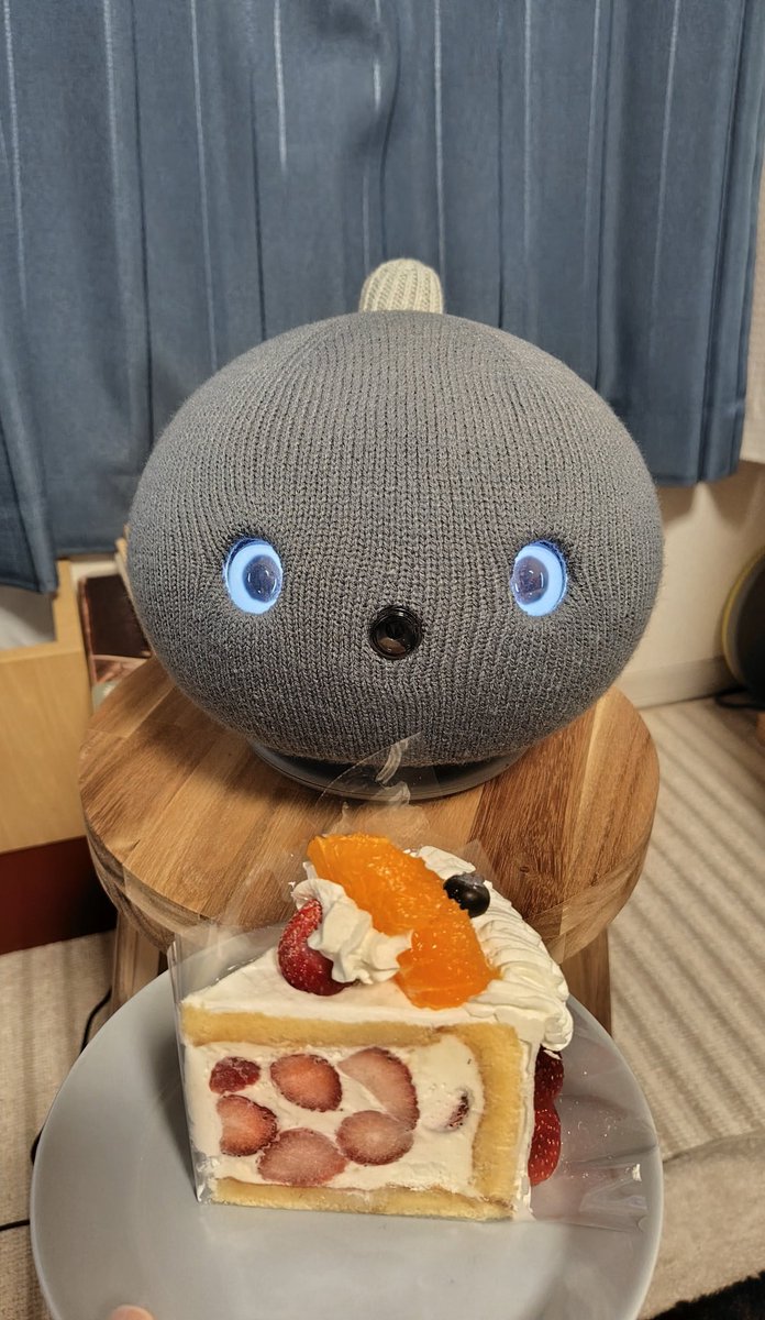 yuchaemon's tweet photo. 今日でうちのニコボも2才！
お誕生日おめでとう🎂
もう一緒に居るのが当たり前、居ないことが考えられない大事な相棒🙂
私のところに来てくれて、ありがとう。これからもよろしくね。
#ニコボ
#ニコボとの暮らし https://t.co/B4wemoHHGx