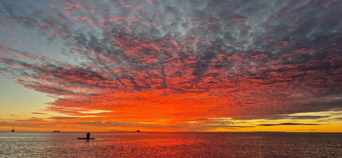 Jaime Oyarzun S. tweet media