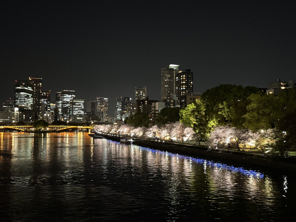 チ カ 🐯 tweet media