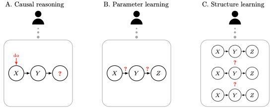 Sandro Ambuehl tweet media