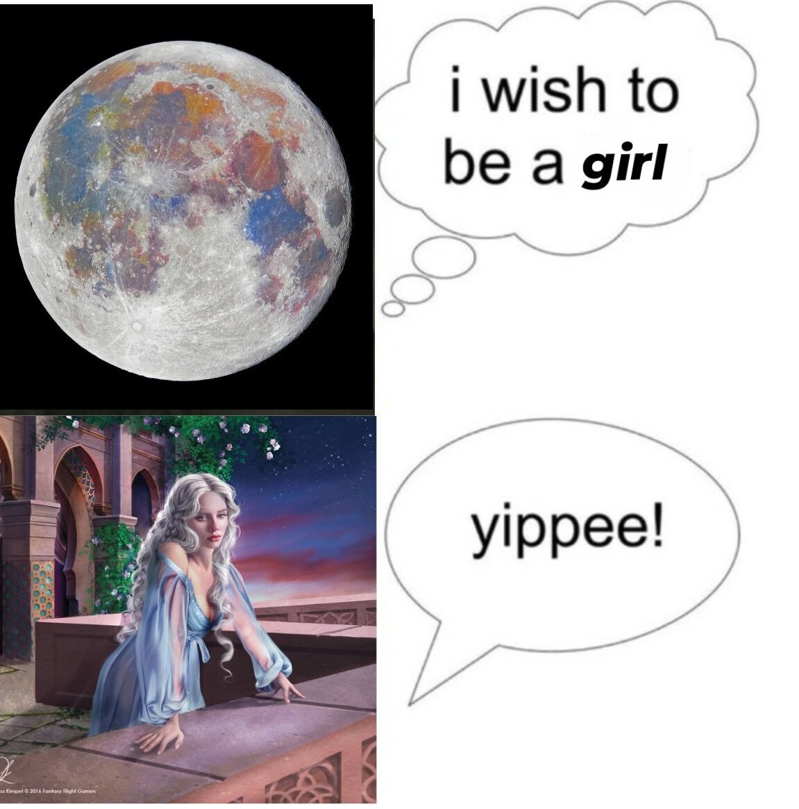 ايو 📚🪄 tweet media