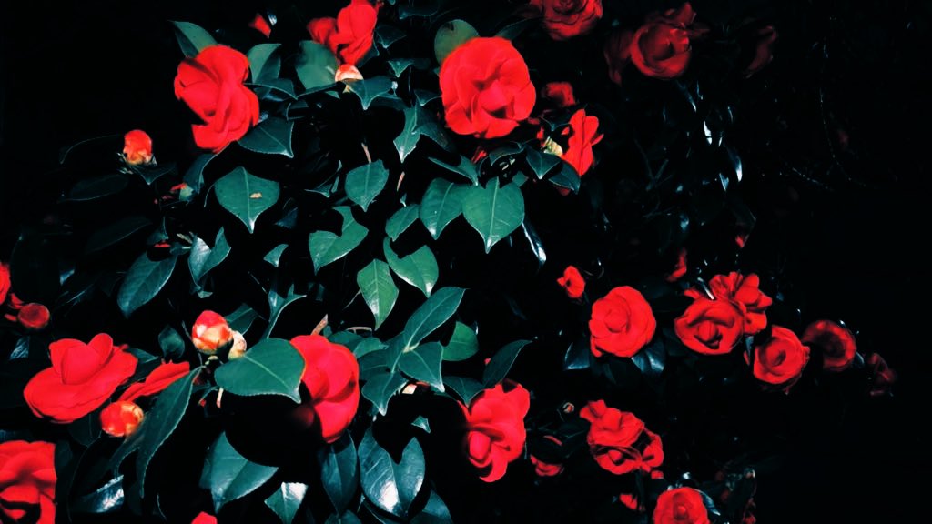 東田 旧作 tweet media