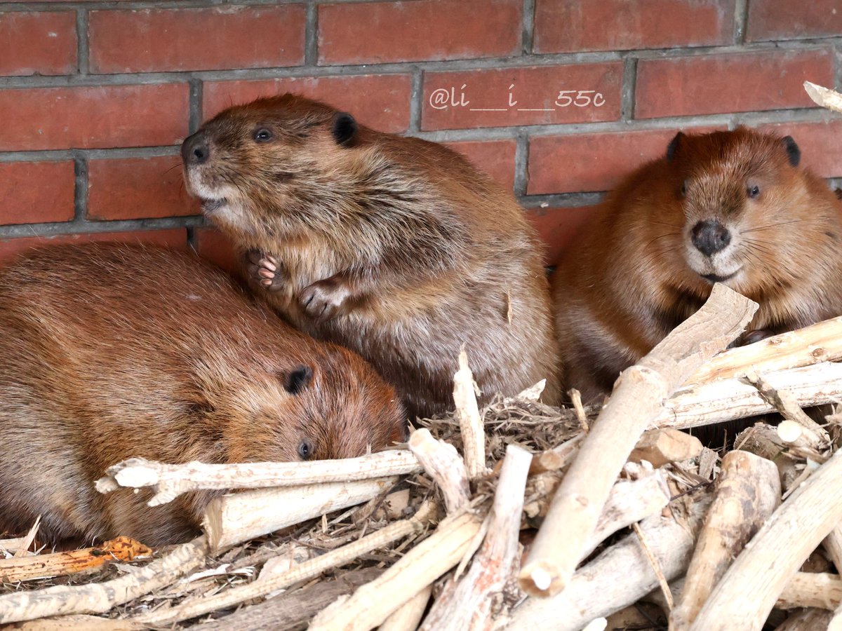 𝚞𝚜𝚊❁︎ tweet media