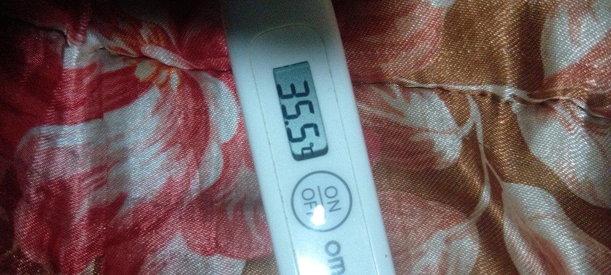 むなさわ=ぎ=もゆる tweet media