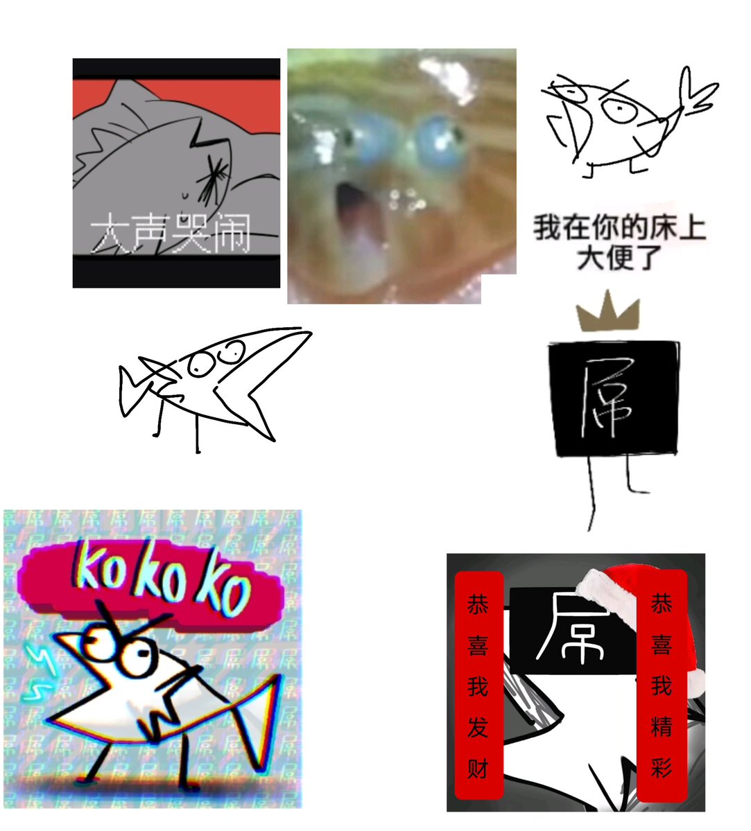 鱼我所欲也 tweet media