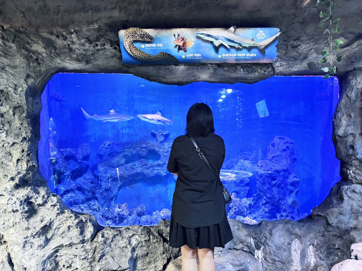 flosha_yuki's tweet photo. 💙🩵 https://t.co/i99Uir91bg