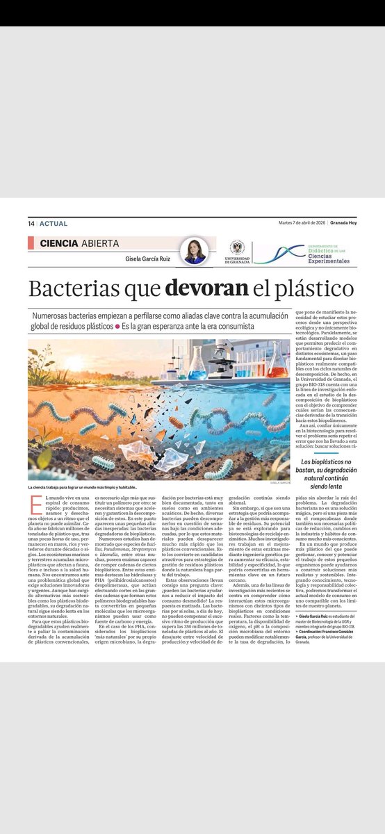 MyxoUGR's tweet photo. Gisela, alumna de TFM en nuestro grupo de investigación, ha publicado un artículo muy interesante sobre bacterias que degradan el plástico!!!  Enhorabuena Gisela! https://t.co/tAzSuxacVu
